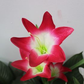 Lily Flower Multi-Color Changing LED Solar Garden Lights (Color: Red)